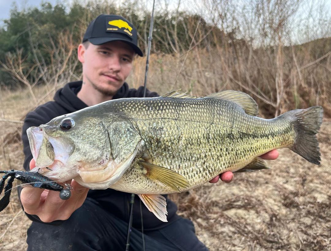 Chasebaits tweet media