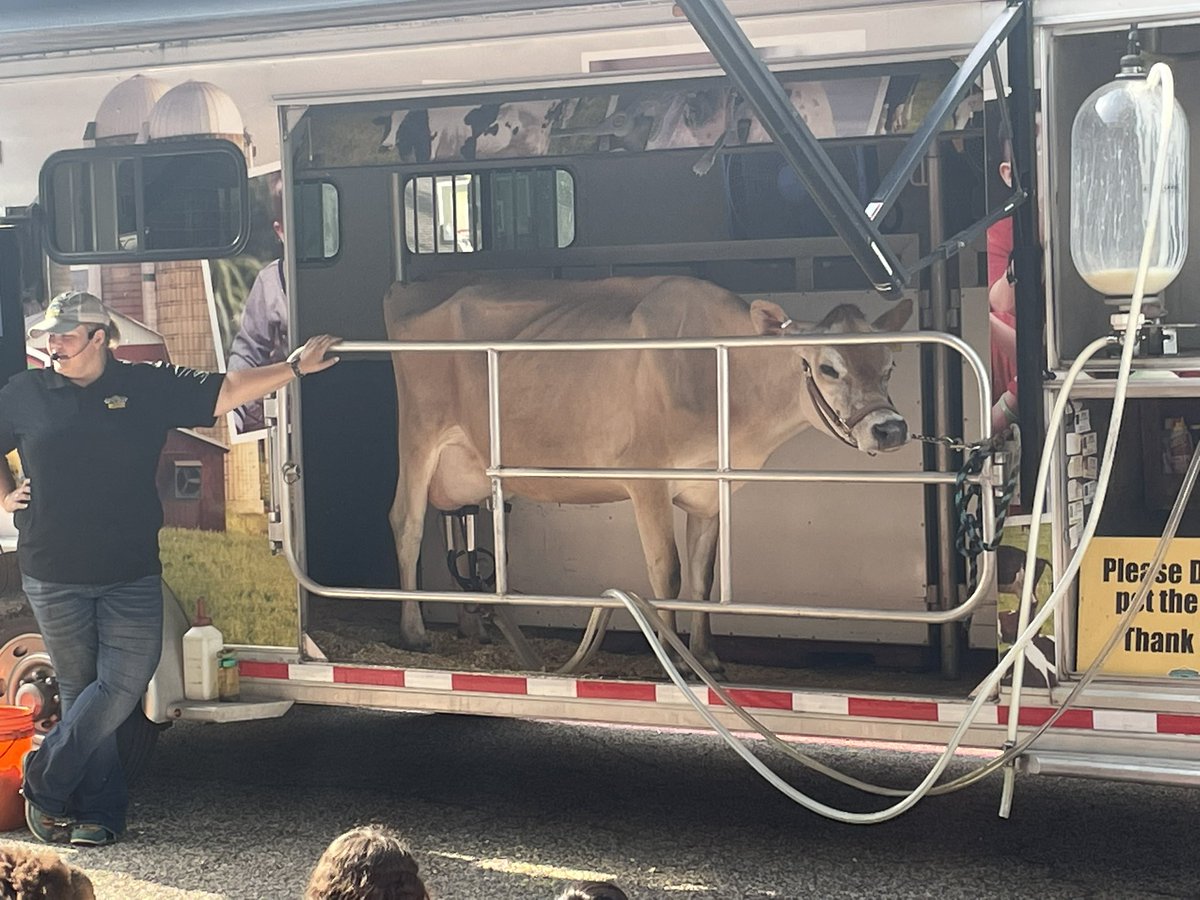 Melanie Jackson (@queenjksn) on Twitter photo Thank you Southwest Dairy Farmers and Peanut for coming to <a href="/AdamElementary/">Adam Elementary</a>. All our grade levels learned so much today!#CFISDspirit Thank you Southwest Dairy Farmers and Peanut for coming to <a href="/AdamElementary/">Adam Elementary</a>. All our grade levels learned so much today!#CFISDspirit