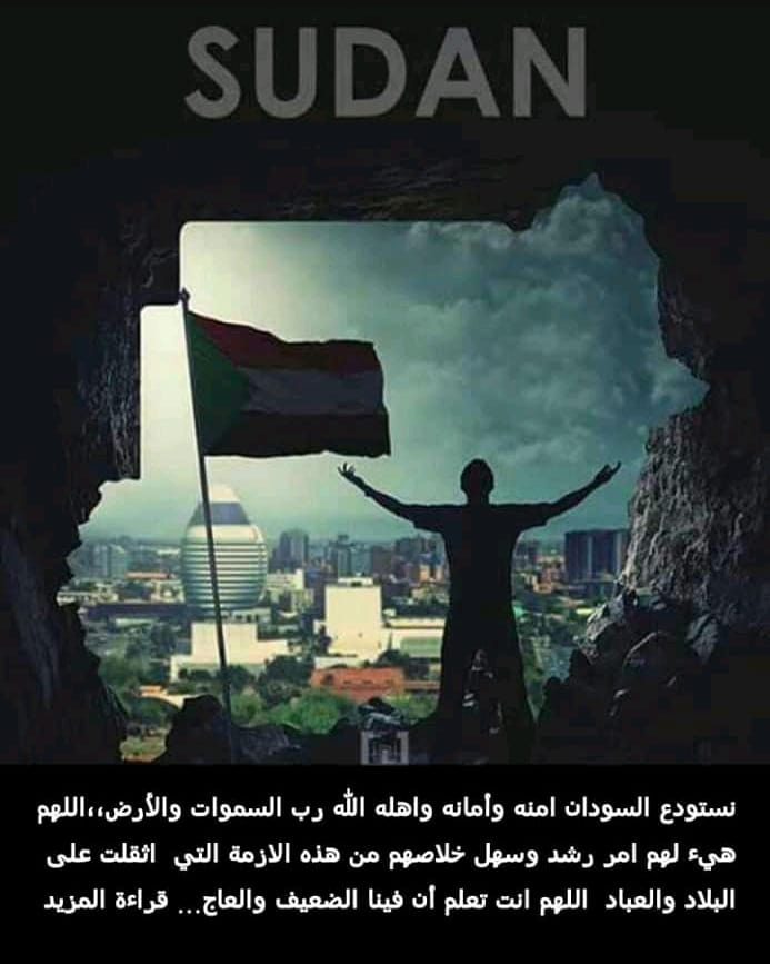 howaida tweet media