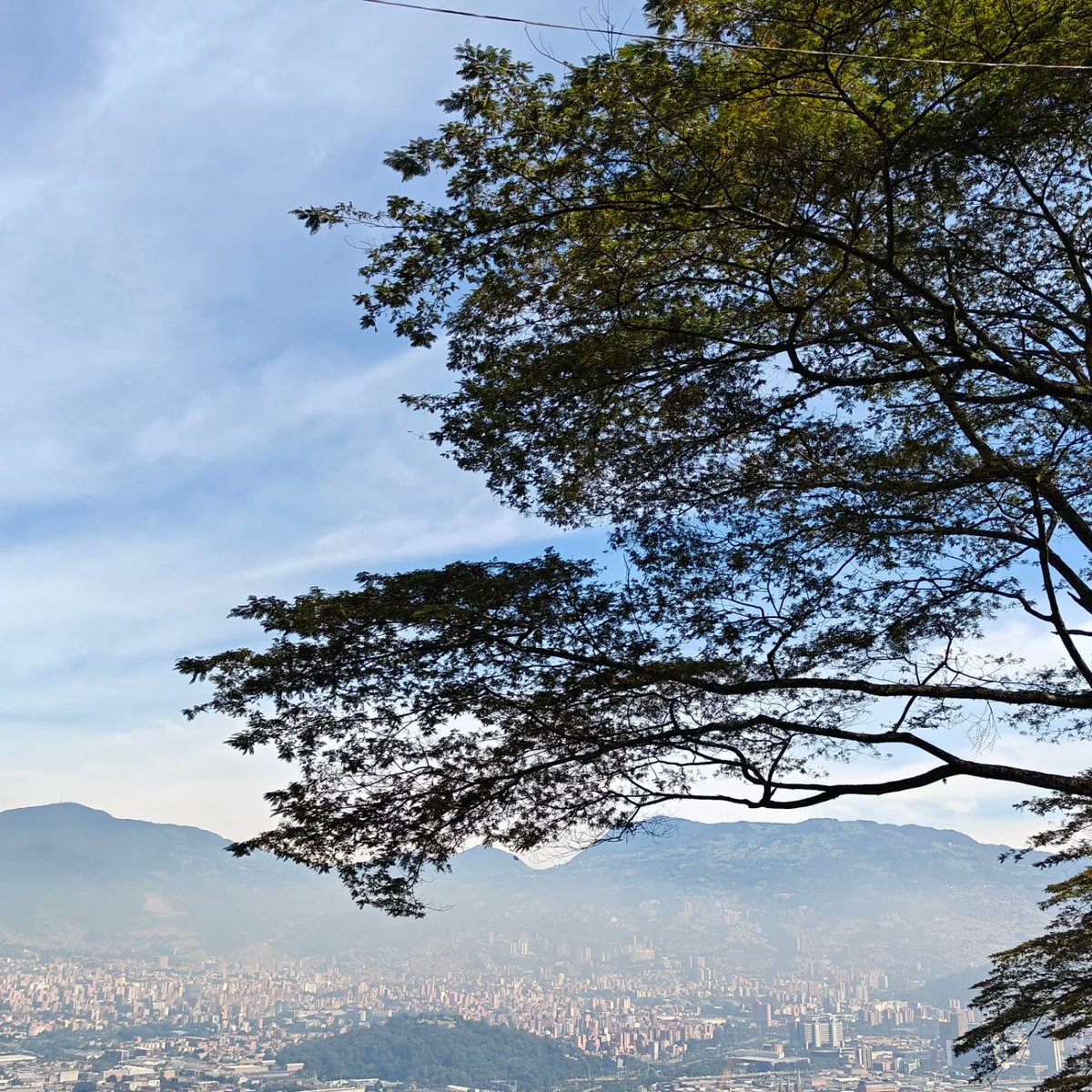 PerezJaramilloA's tweet photo. @jotacposadag @FelipeMurilloC @simonperezlon @danielduquev @urbam_EAFIT @AlcaldiadeMed @Danielsuarezvoz @sergiorestrepoj @JPLopezCortes @TodosXMedellin @DapAntioquia @ConcejoMedellin @JuanBedoya1973 @jd_ibata @PANRRIS #Medellín una ciudad que ha soñado con proteger sus montañas como paisaje y estructura ecológica, con gran riqueza ecosistémica
#CiudadCompacta como modelo de ocupación #POTMedellín sin suficiente compromiso y coherencia entre la gestión pública y privada
Así vamos...
03.05.2023 https://t.co/hJEJJnGHDE
