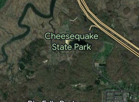 <a href="/worrystonee/">worrystonee.bsky.social</a> Old Bridge is right by Cheesequake State Park. I think it makes sense that pasta grows in the woods there.