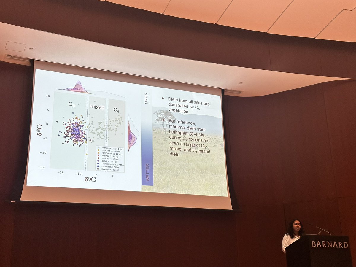TurkanaMiocene's tweet photo. Today @BarnardCollege undergraduate Sneha Bapana presented her awesome  senior thesis on early &amp; middle Miocene diets and ecology in the #turkanabasin ! She handled all questions with aplomb! Congrats Sneha!! Her advisors @D_R_Green and @kevin_t_uno were beaming. @LamontEarth https://t.co/BOVowiVgrh