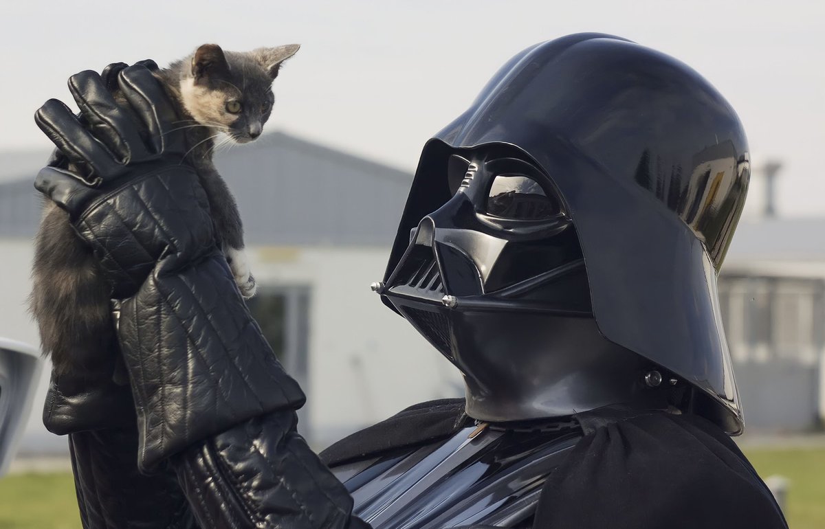 CatGenie's tweet image. May the 4th be with you and your cats on #StarWarsDay