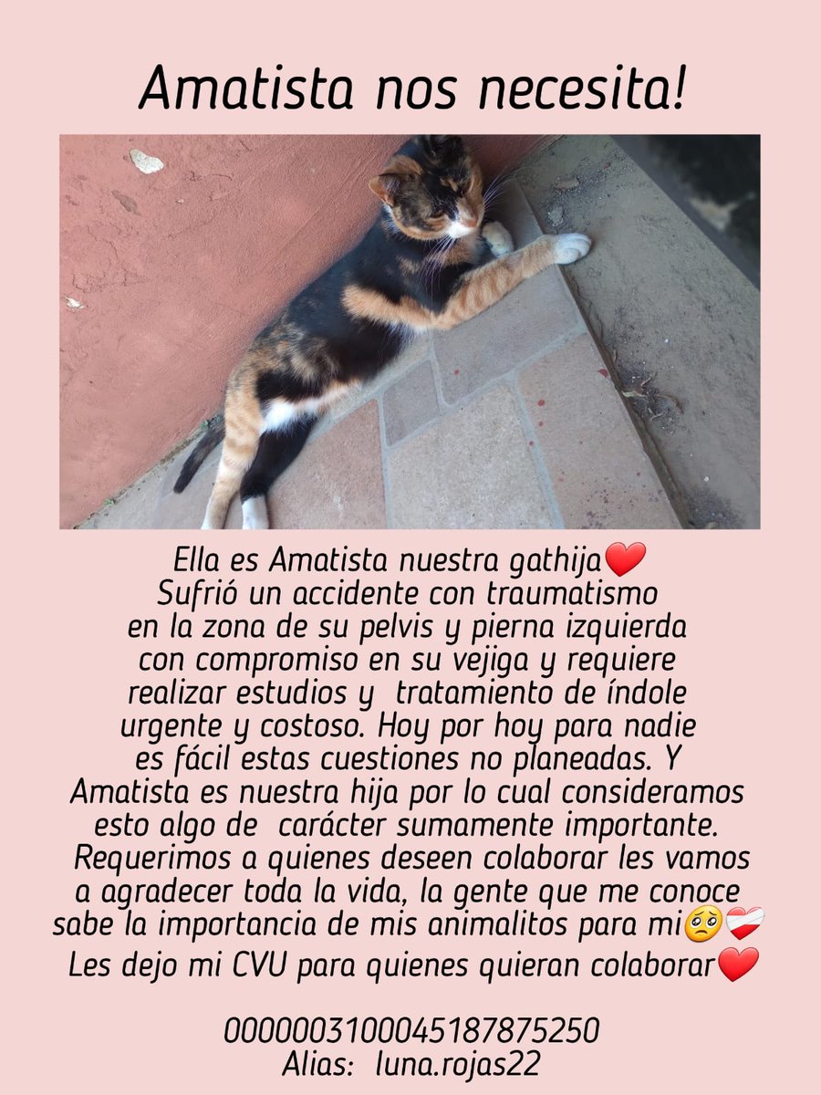 • Valu • (@valenttinaojeda) on Twitter photo 