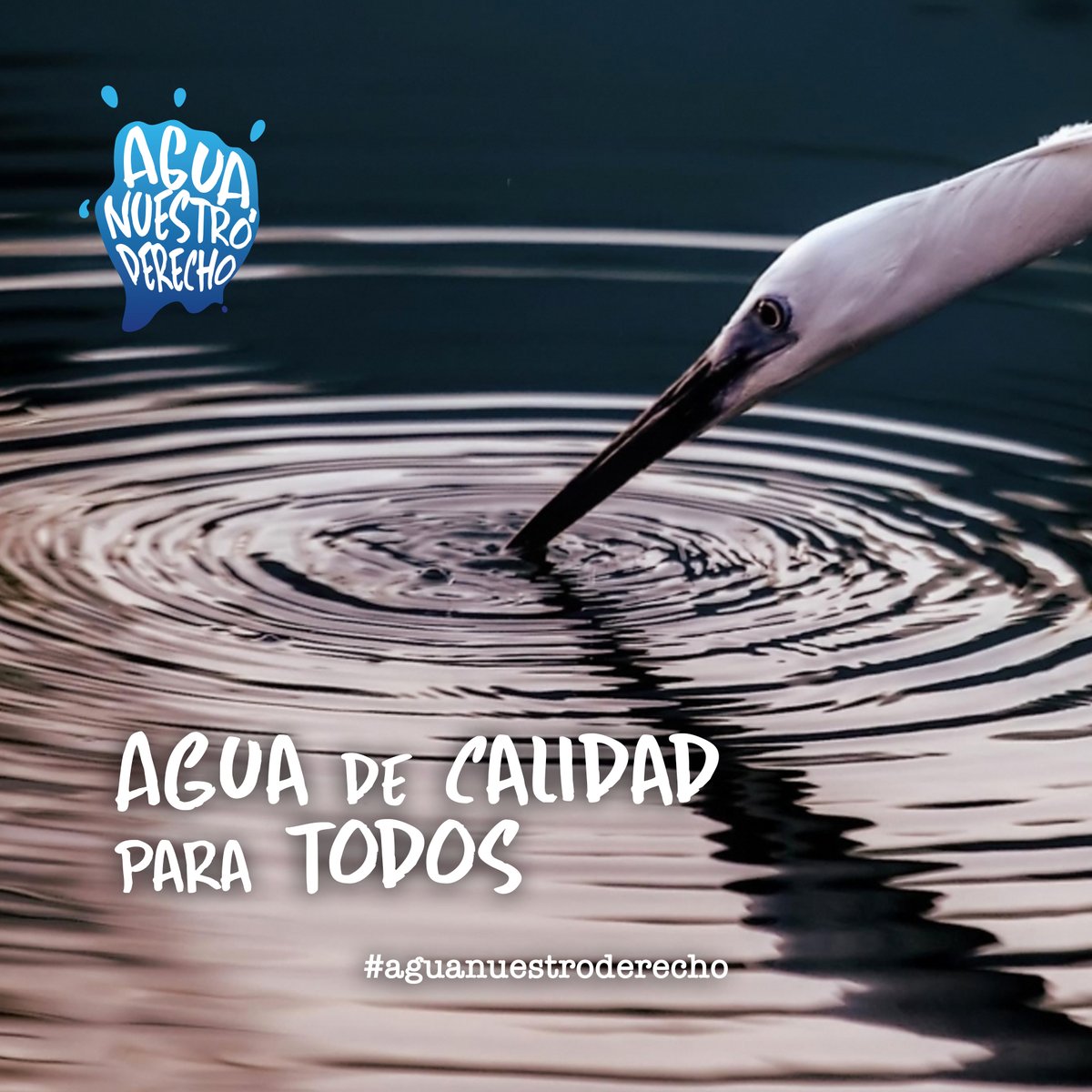 Mereces un agua limpia y de calidad para tu consumo 🙌💙

#AguaNuestroDerecho #Mexico