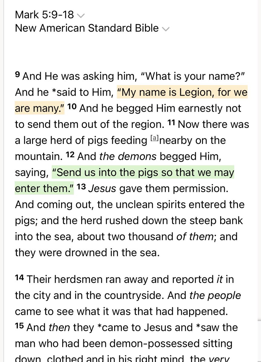 lion-of-judah-on-twitter-you-know-who-else-liked-using-pronouns