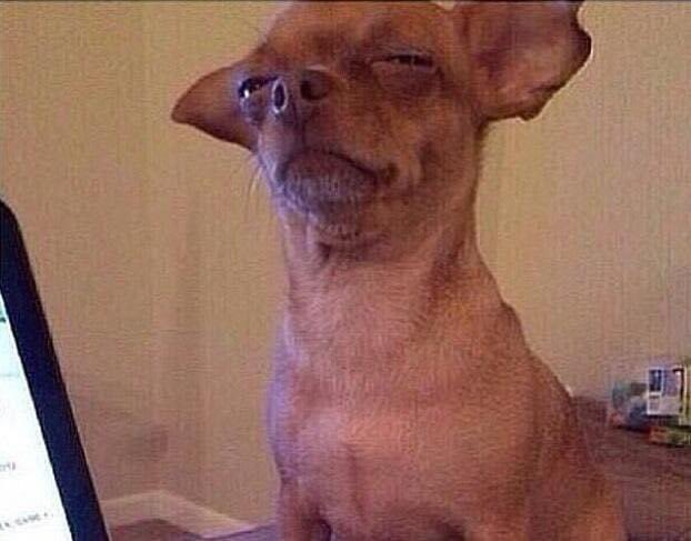 Chip Vaughn tweet media