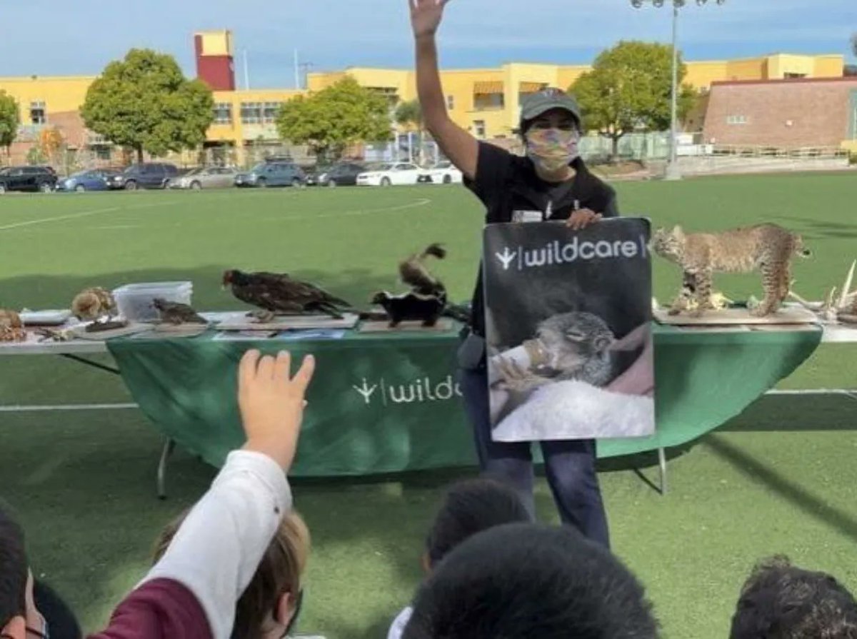 As a part of #GreenWeek join us on Wednesday, May 10th at 3:30pm to speak with Discover Wildcare and let our local wildlife teach you simple ways to help preserve our planet. This session is targeted for grade level, pre-K session is at 2:30. Learn more:  buff.ly/42dmOjo