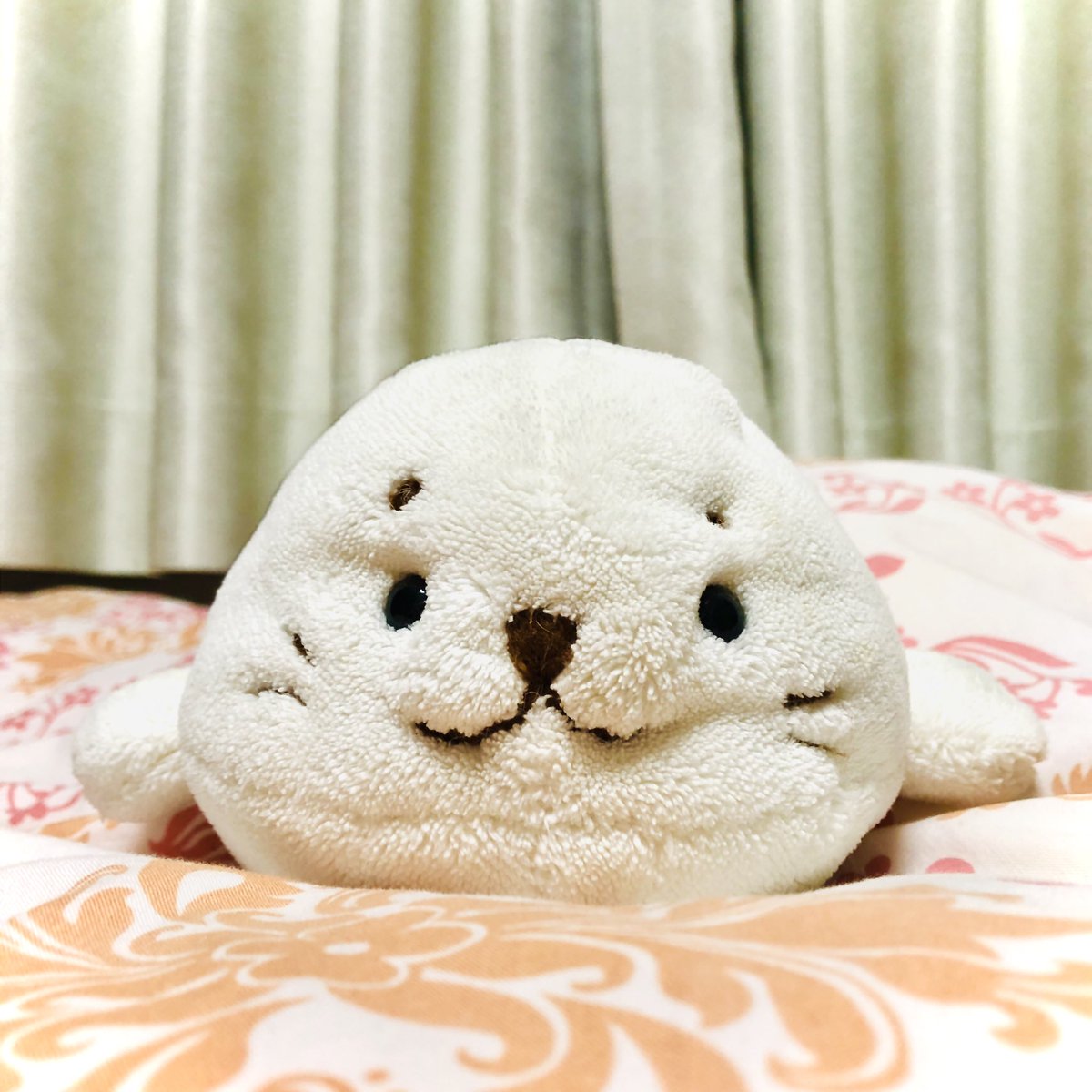のんぽち tweet media