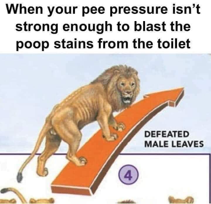 ShitpostGate's tweet photo. https://t.co/je8ucngOoC