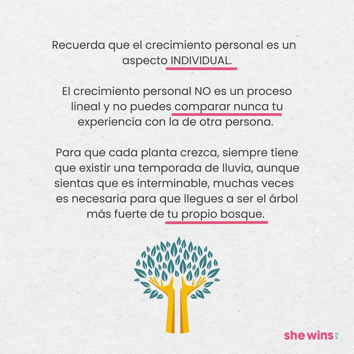 She Wins tweet media