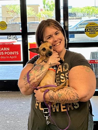 EgletLaw's tweet photo. We’re excited to announce that Brownie, our second adopted dog via the Eglet Adams Adoption Sponsorship Program, now the Luna Project, has found his forever home! Thanks to Connie for providing a loving environment for him to thrive with his furry siblings. https://t.co/LI39dZavUy