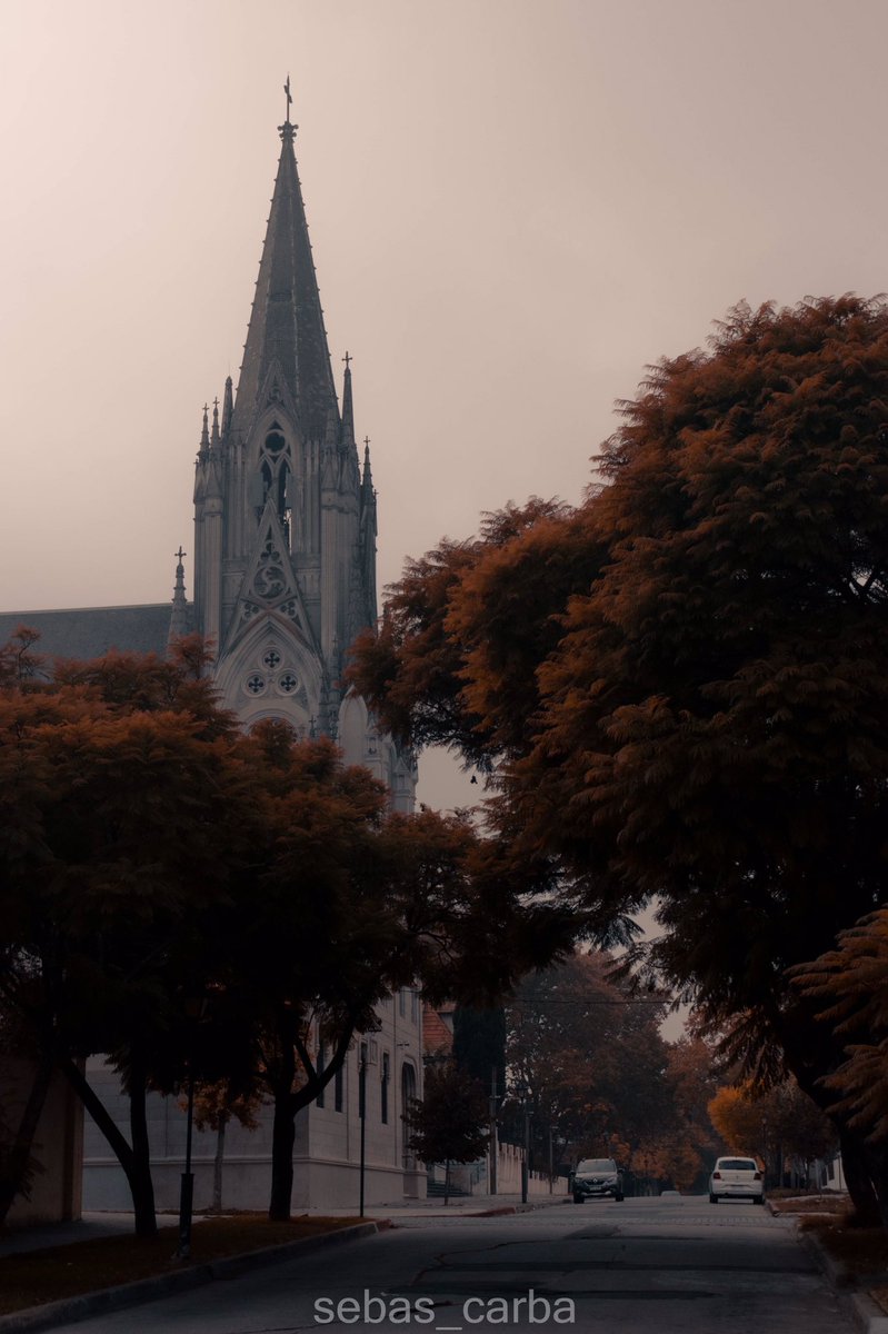 CarbajalSebas's tweet photo. Otoño a full en Montevideo Uruguay 🇺🇾 https://t.co/JtBytc9QaR