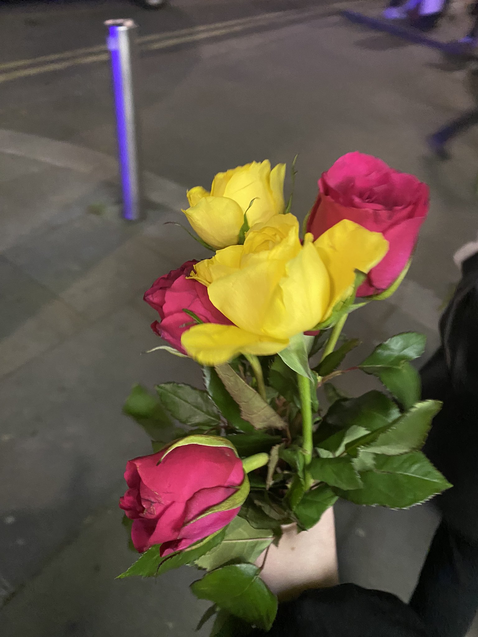 leonie ( on Twitter "clem gave me flowers telling me that when