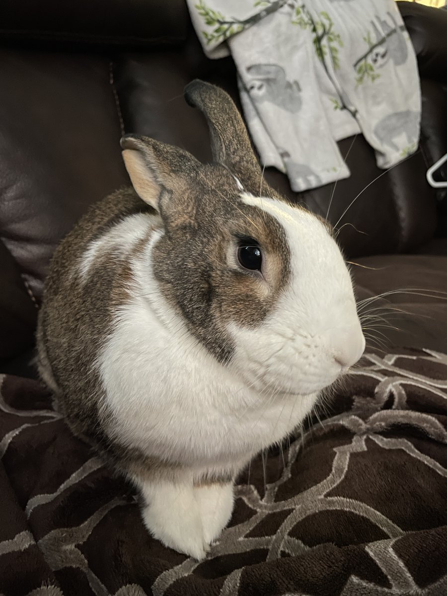 NW Editors Guild (Find us on other socials) tweet media