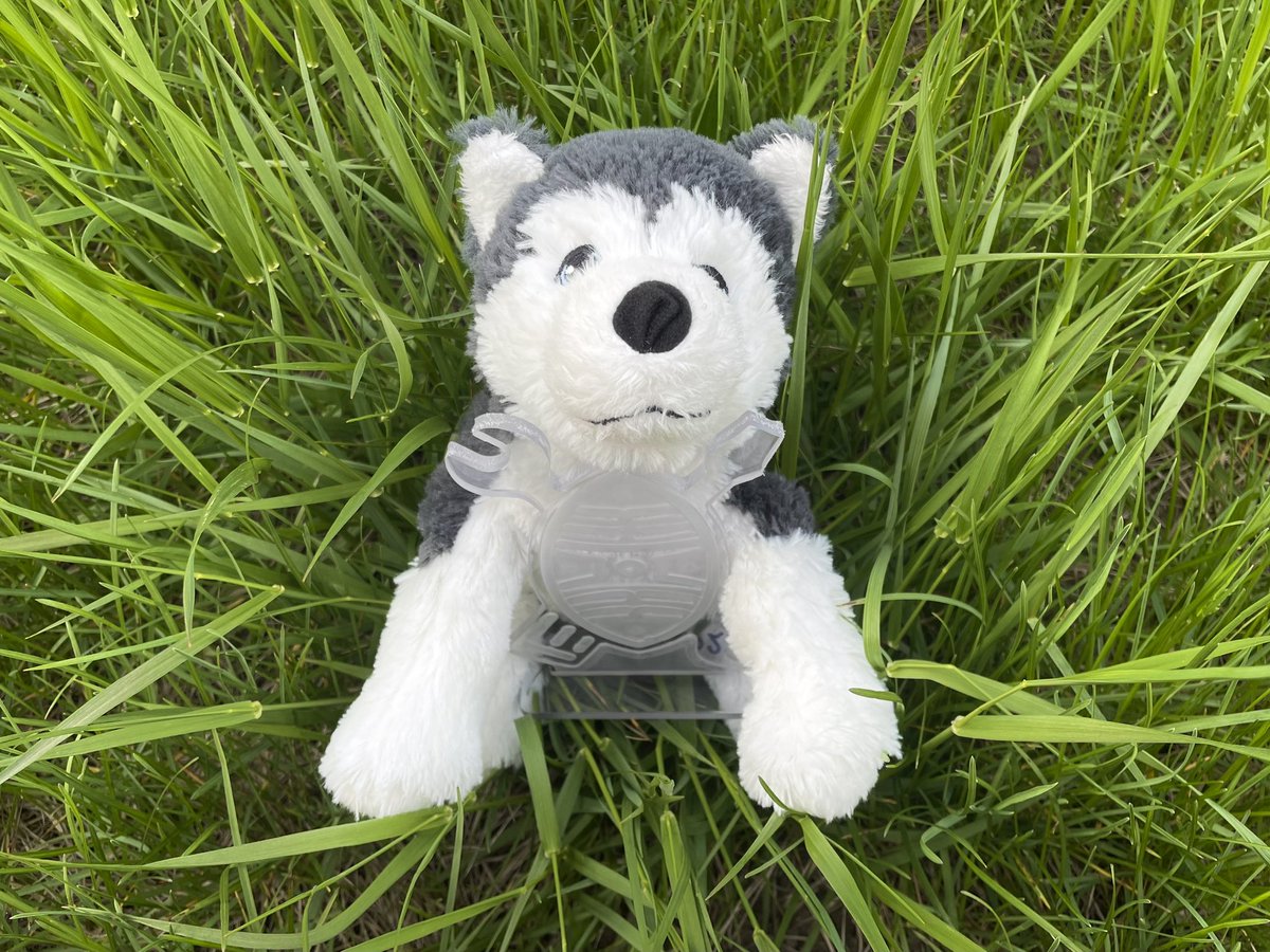 Lightning Robotics FRC862 tweet media