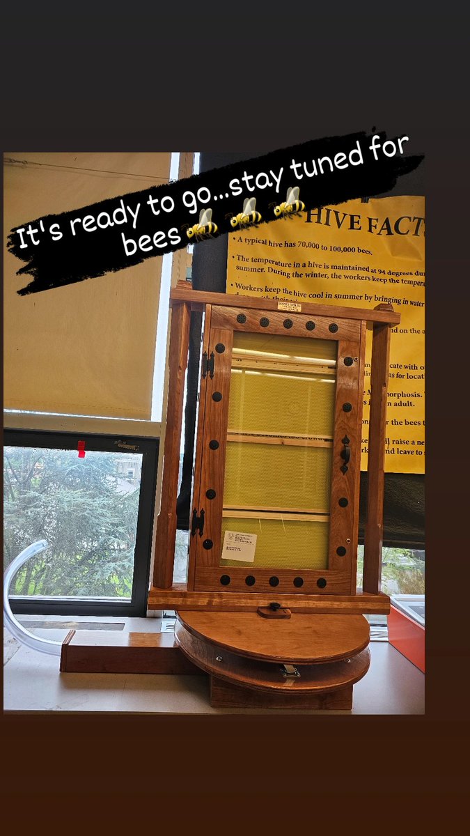 emgarcia725's tweet photo. My Innovation Lab has a new observation hive. I love this learning opportunity for my students. #rsdproud #innovation #observationhive #thinkcreateinnovate https://t.co/qqLWKnTLv7
