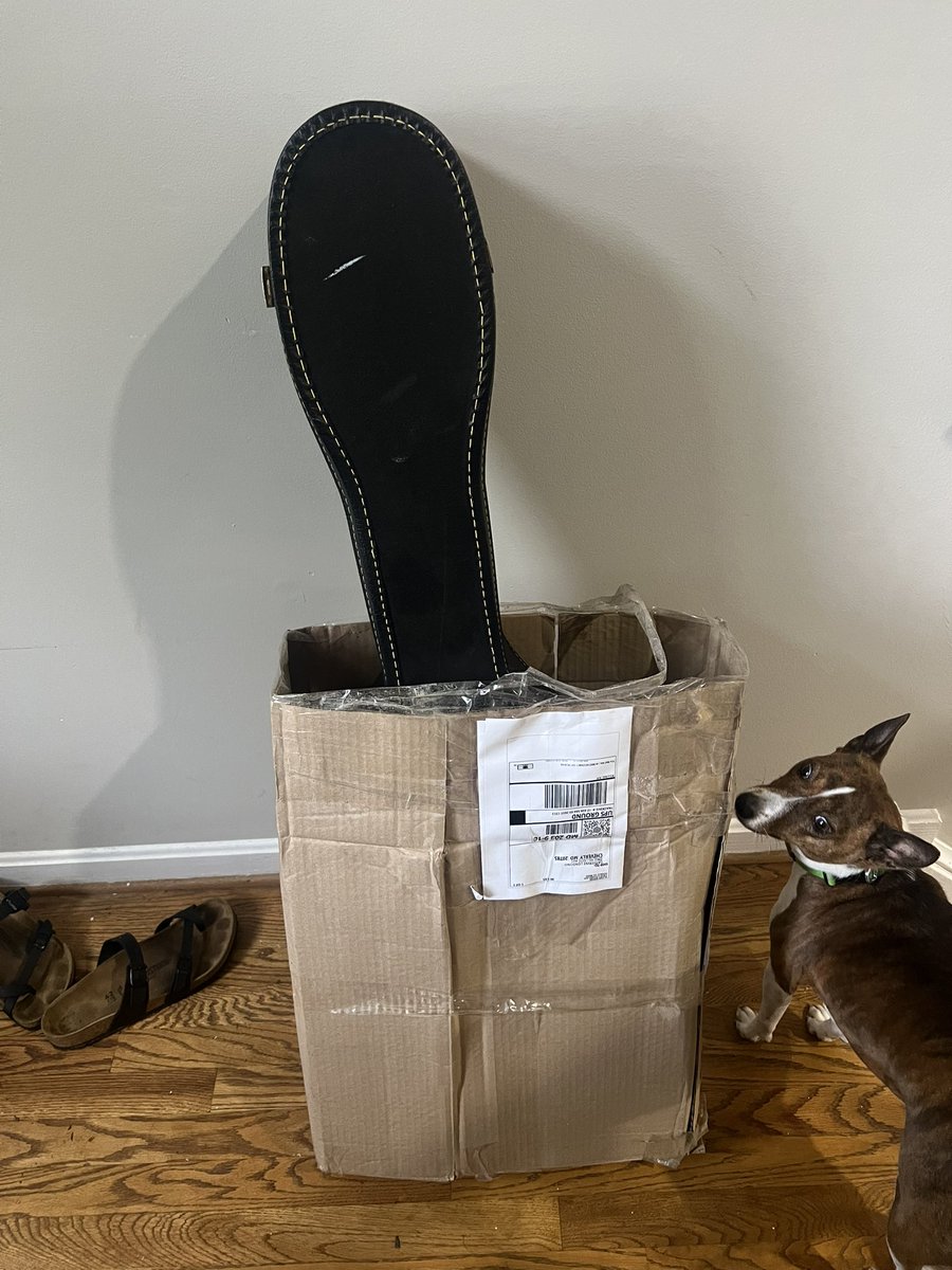 jeffreystrazz's tweet photo. @mercari_app Hi, I’m very concerned about how my first Mercari order arrived… no proper packaging or protection? Guitar arrived with damage… surprised it arrived at all. What’s the best way to resolve this? The app does not provide an appropriate support option. #Mercari https://t.co/z75Gn4nFx1