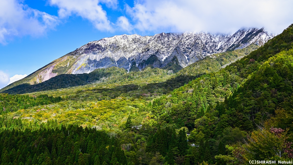 JapanGov's tweet photo. It’s #GreeneryDay in Japan. Daisen-Oki #NationalPark is a rich mosaic of peaks⛰️, coastlines, and islands spanning #Tottori, #Shimane, and #Okayama where a mix of flora and fauna have adapted to its forests 🌳, grasslands, &amp; unique shorelines and islands.
https://t.co/rukxJKon3B https://t.co/CECTeRfLfV