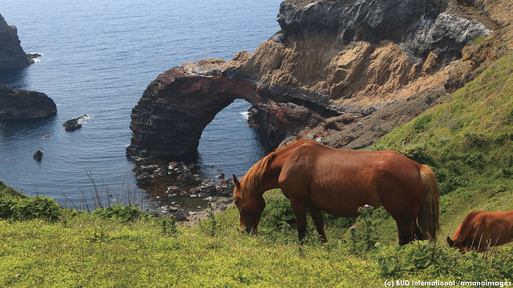 It’s #GreeneryDay in Japan. Daisen-Oki #NationalPark is a rich mosaic of peaks⛰️, coastlines, and islands spanning #Tottori, #Shimane, and #Okayama where a mix of flora and fauna have adapted to its forests 🌳, grasslands, &amp; unique shorelines and islands.
env.go.jp/en/nature/nps/…