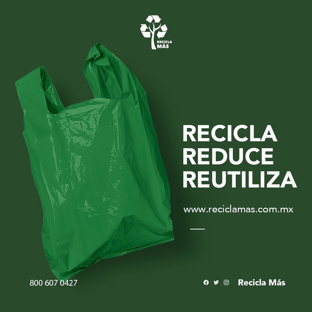 ReciclamasMX's tweet photo. Reducir el consumo de productos de un solo uso, reutilizar objetos y materiales y reciclar adecuadamente son pequeñas acciones que pueden marcar una gran diferencia en el cuidado del medio ambiente.♻️🌍
#Las3R #Reduce #Reutiliza #Recicla #Sostenibilidad #CuidaElPlaneta https://t.co/VPgd0HiquD