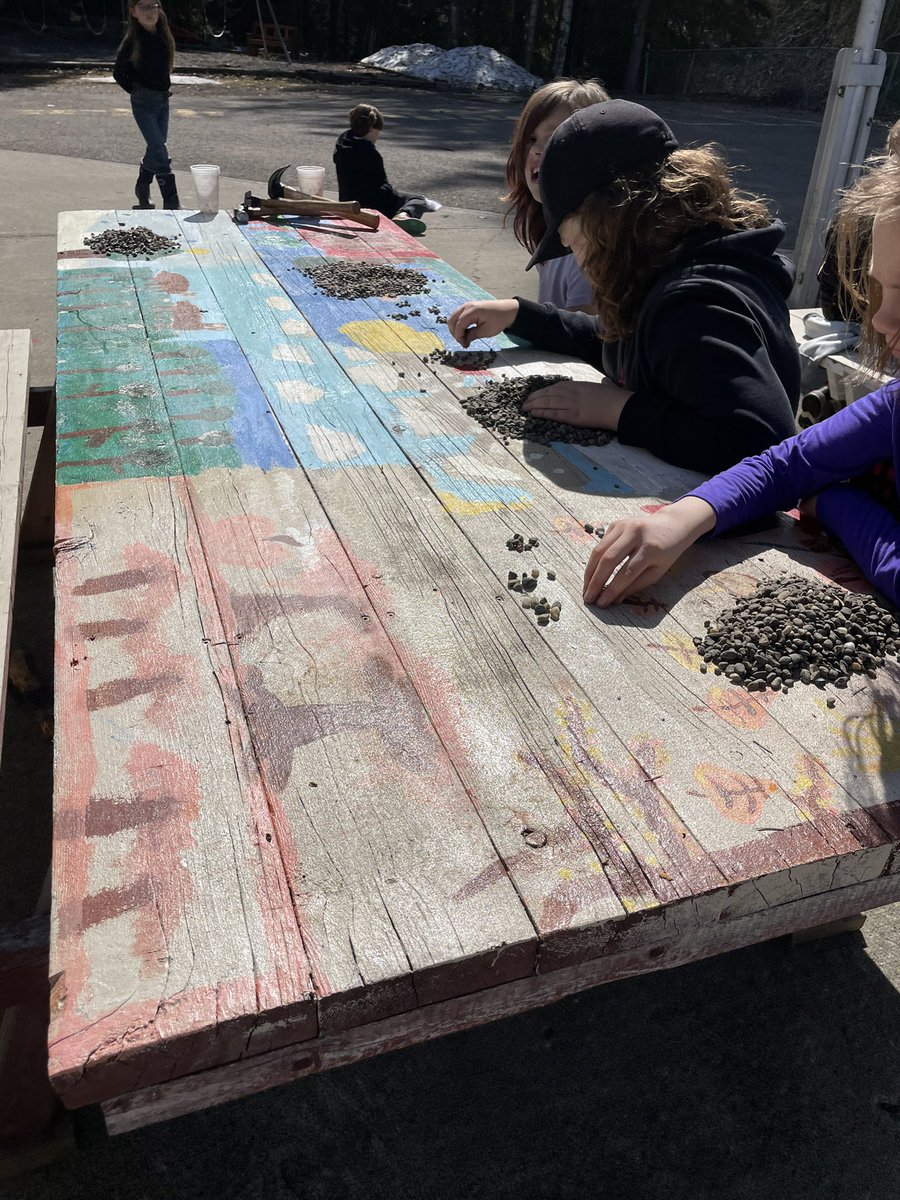 Take that learning outside! Division practice with some rocks #takemeoutside #sd27 #happyspring