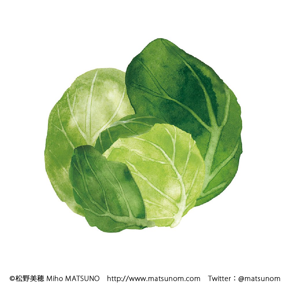 「おはようございます   #みどりの日」|松野美穂💮6/15-6/25展示のイラスト