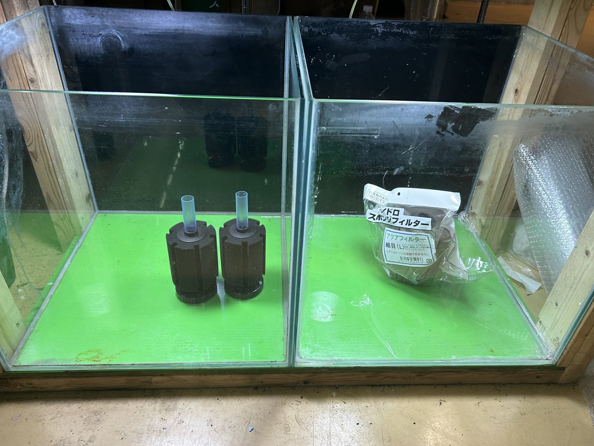 Sweet_Lab24's tweet image. 900水槽台
90レギュラー
45キューブ×2
エーハイムプロ4＋　パーツ有り
ヴォルテス　4灯
新品スポンジフィルター×3

引っ越しのため販売します。

¥30000

引き取り限定になります。
現状お渡しです🙇‍♂️