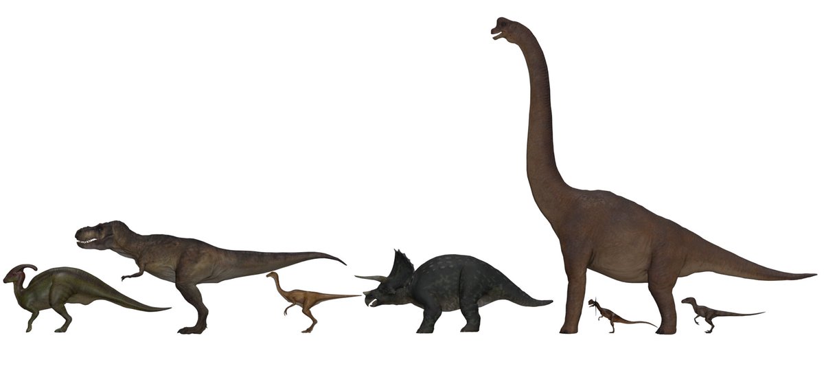 bentovis's tweet photo. @collectjurassic At the end i searched for the official sizes, this one was easy, i already had a size chart from the og movie, got my models done, and made them accurate by the sizes here, the final result was this one: https://t.co/gTbNz4VysS
