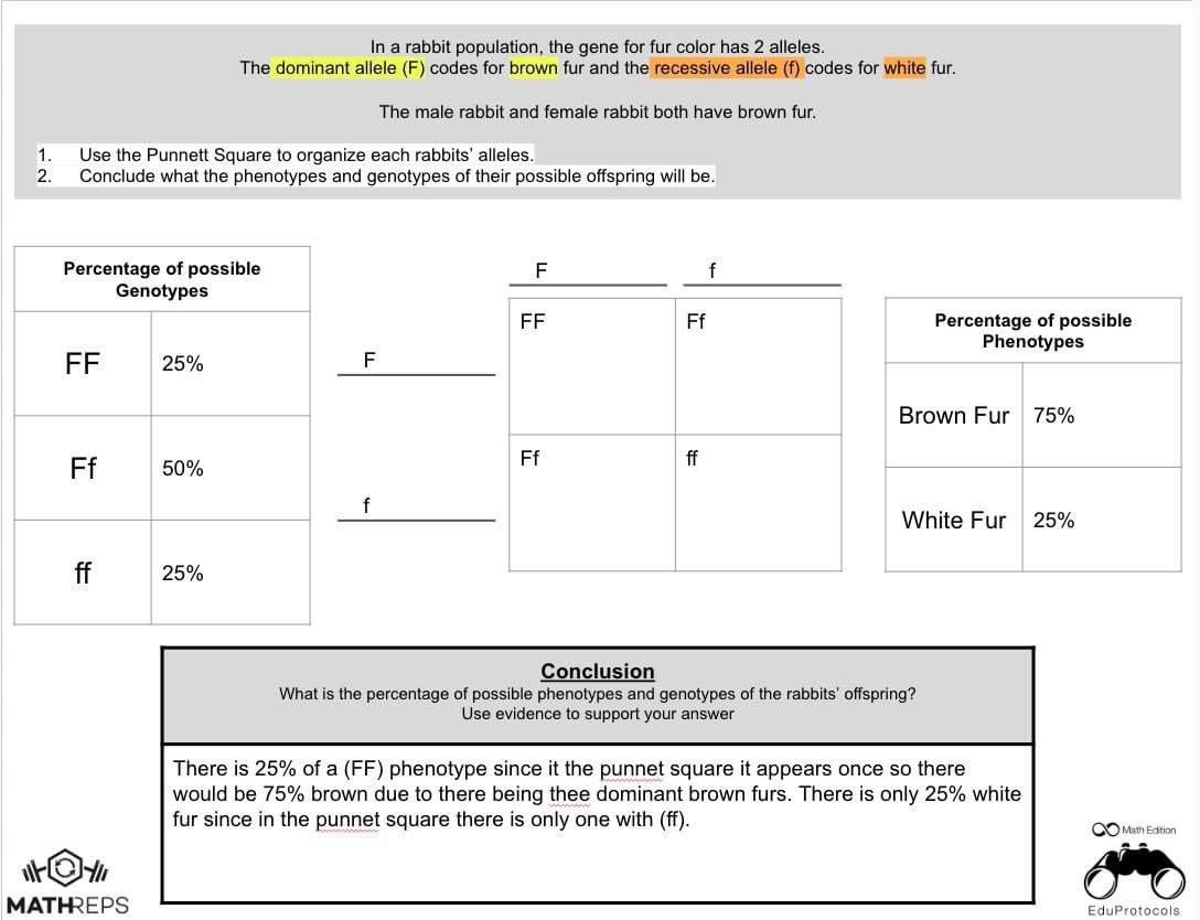 arianakhern's tweet image. Today ss did #MathReps to find probabilities of offspring within a Punnett Square. 2 things about this lesson: 

1.FAC is your FRIEND for vocab. Get in a few reps prior to introducing this. 

2.Model first. Ss will get faster with each rep. 
#Eduprotocols #science
