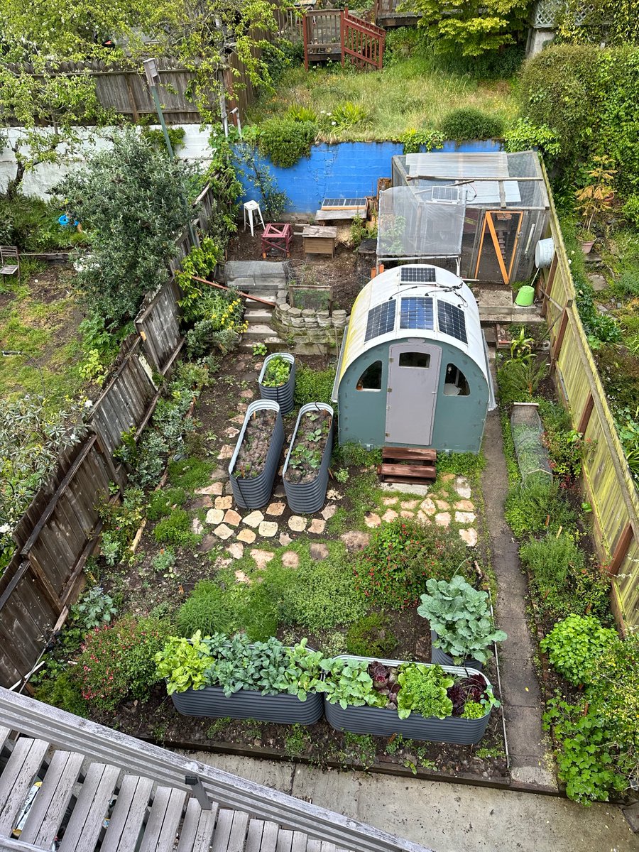 MatterOfTrust's tweet photo. We love Kim, our master gardener and what she has done with our urban edible garden at the eco-home! We also used the short hair dust that was too short for the oil spill mats! So great for soil!
#hair #ecofriendly #planetfriendly #garden #gardening #MatterOfTrust https://t.co/cjWFCaHZOK
