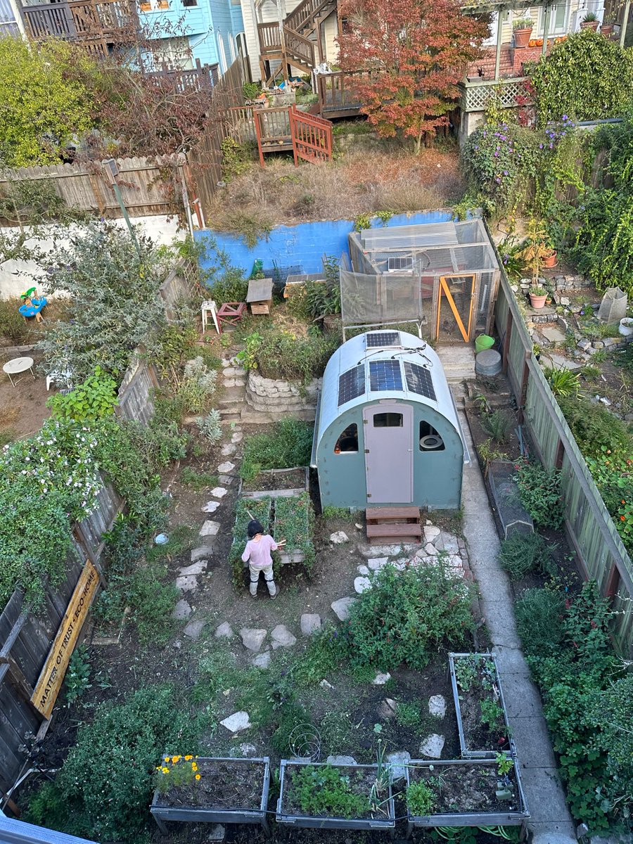 MatterOfTrust's tweet photo. We love Kim, our master gardener and what she has done with our urban edible garden at the eco-home! We also used the short hair dust that was too short for the oil spill mats! So great for soil!
#hair #ecofriendly #planetfriendly #garden #gardening #MatterOfTrust https://t.co/cjWFCaHZOK