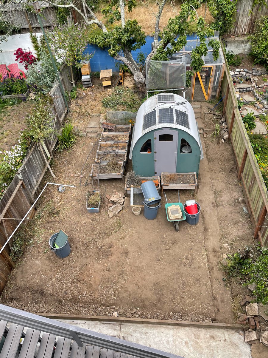 MatterOfTrust's tweet photo. We love Kim, our master gardener and what she has done with our urban edible garden at the eco-home! We also used the short hair dust that was too short for the oil spill mats! So great for soil!
#hair #ecofriendly #planetfriendly #garden #gardening #MatterOfTrust https://t.co/cjWFCaHZOK