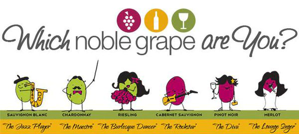 wineworldnews's tweet photo. Try it out 😁🍷🍇😎
Which Noble Grape Are You? https://t.co/VlOVBWbd2u on @NobleGrape https://t.co/D1HrkHgLXQ