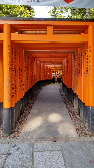 「野外 神社」のTwitter画像/イラスト(新着)｜5ページ目