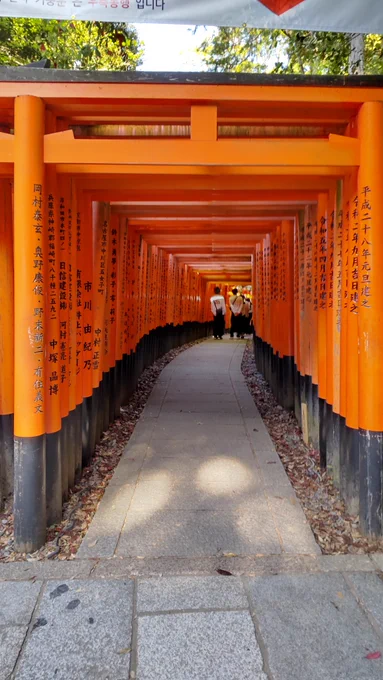 楽しすぎて死ぬ