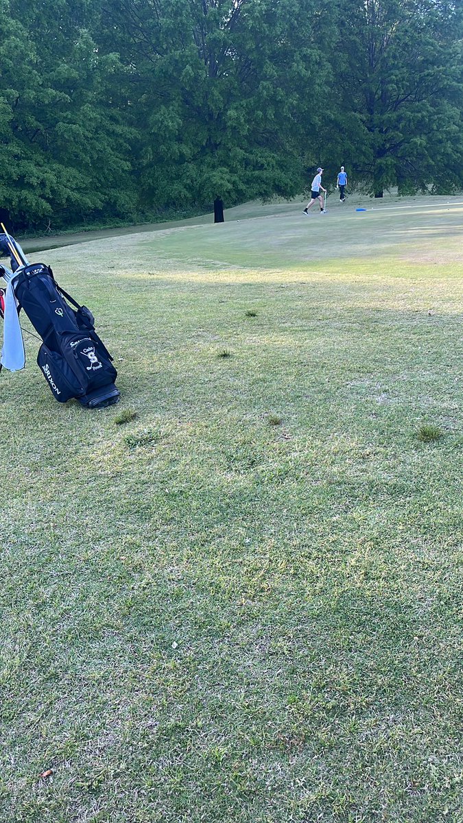 Springfield Yellow Jacket Golf tweet media
