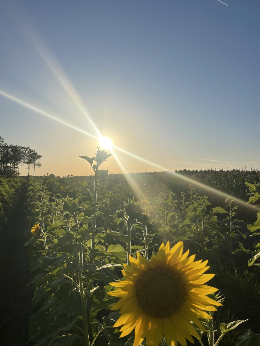 OffCourseNomad's tweet image. Timeline cleanse