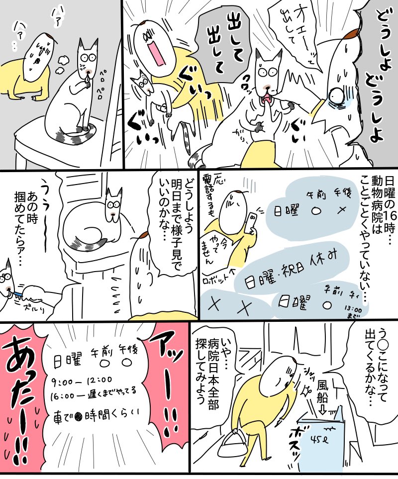 猫の誤飲(1/4)