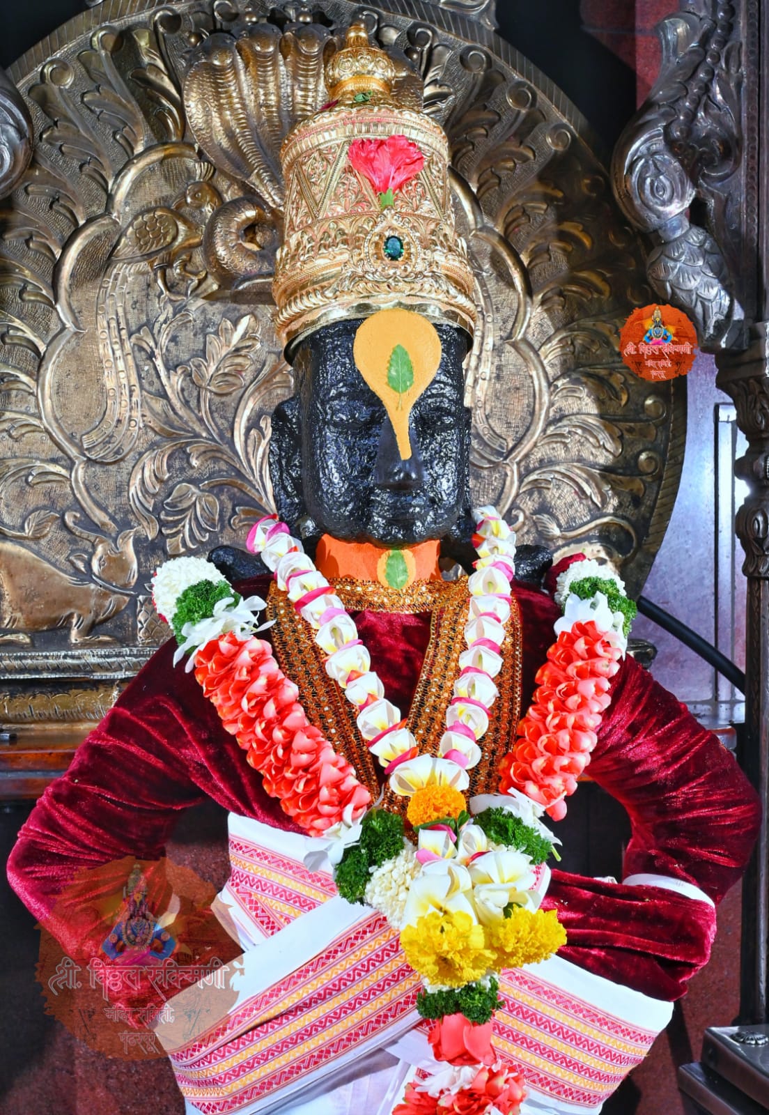 Vitthal Rukmini Today darshan on Twitter: 