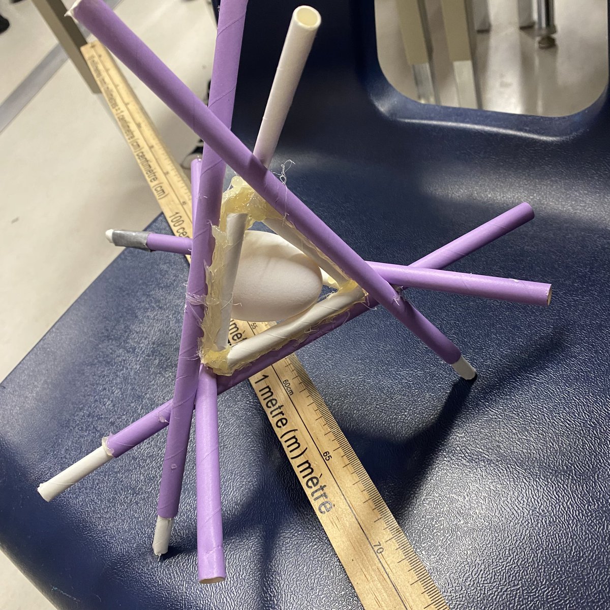 Mrs.Westcott's Class tweet media