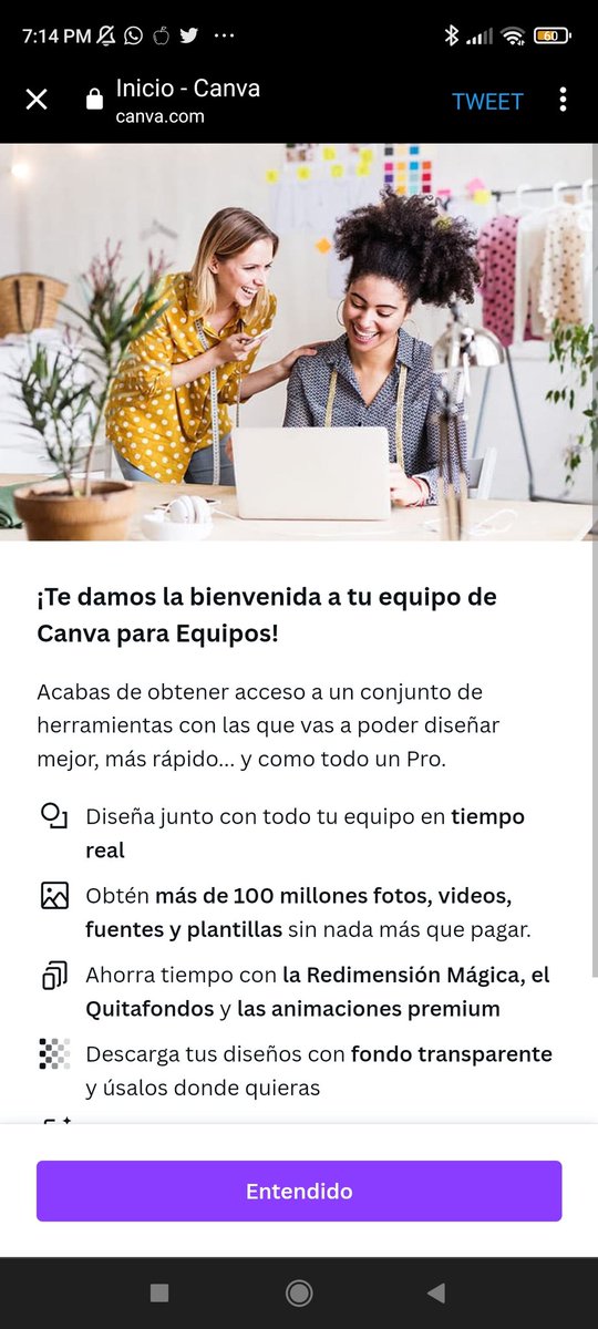 ⭒ paopao ! tweet media