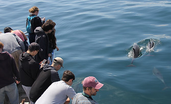 Come see the 2023 Seatech Student Research Symposium (<a href="/Scripps_Ocean/">Scripps Institution of Oceanography</a> &amp; on Zoom) May 16 2:30 - 4 pm PT

Working with these amazing students is the best part of my job!  🐳 🎵 🐟 😎 
 #AcousticEcology #Soundscapes #Mentoring #DiversityInSTEM <a href="/NOAAFish_WCRO/">NOAAFish_WCRO</a> 
buff.ly/44sacXn