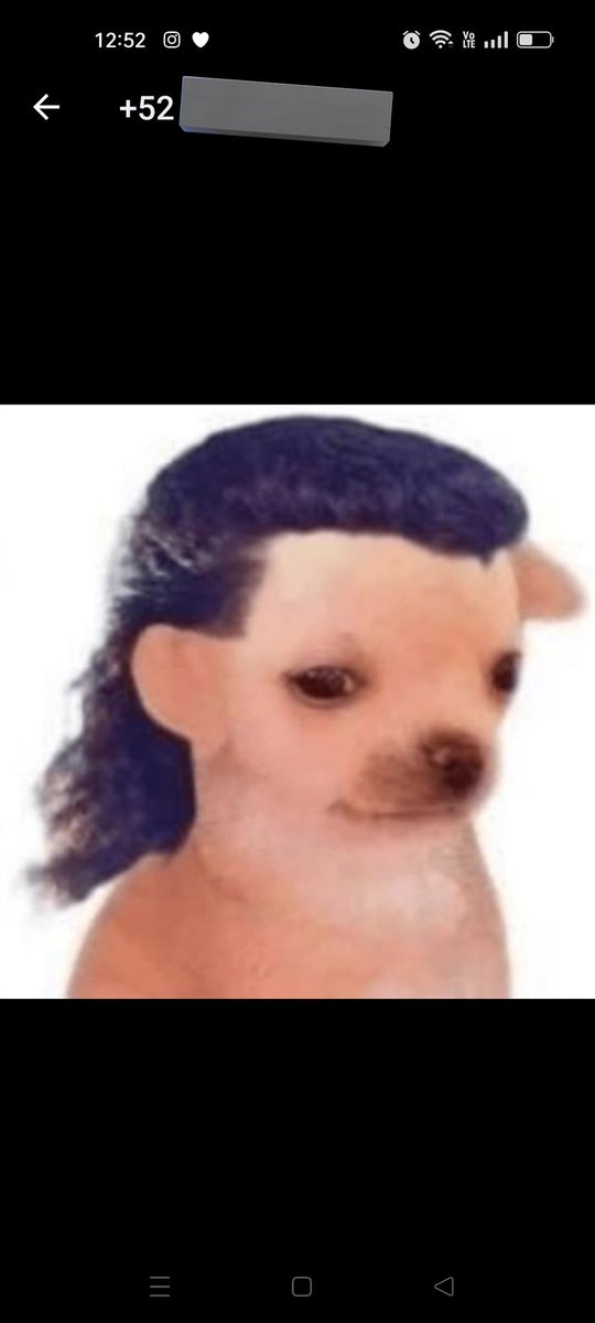 Carlitospindola's tweet photo. En el café estamos contratando y hoy me contactó alguien con esta foto de perfil. Solo por eso ya lo contrataría: https://t.co/B785M3raPS