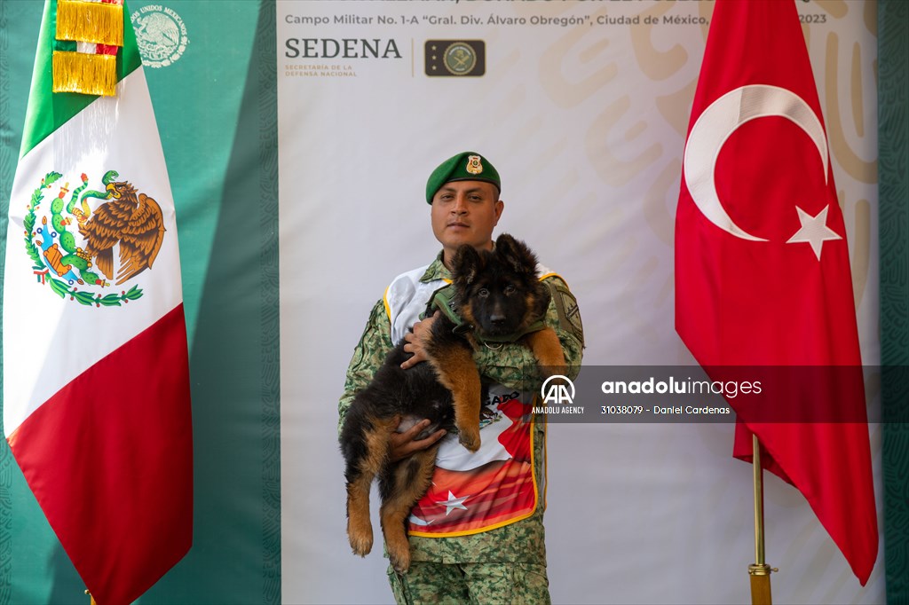 Daniel Cárdenas (@danielcardenas2) on Twitter photo Official welcoming ceremony for Arkadas, a puppy sent from Turkiye to Mexico as a sign of gratitude
For <a href="/anadoluimages/">Anadolu Images</a> Official welcoming ceremony for Arkadas, a puppy sent from Turkiye to Mexico as a sign of gratitude
For <a href="/anadoluimages/">Anadolu Images</a>