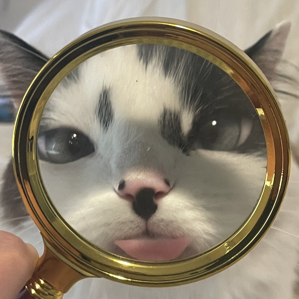 freegoblinpics's tweet image. detective gooby is on the case