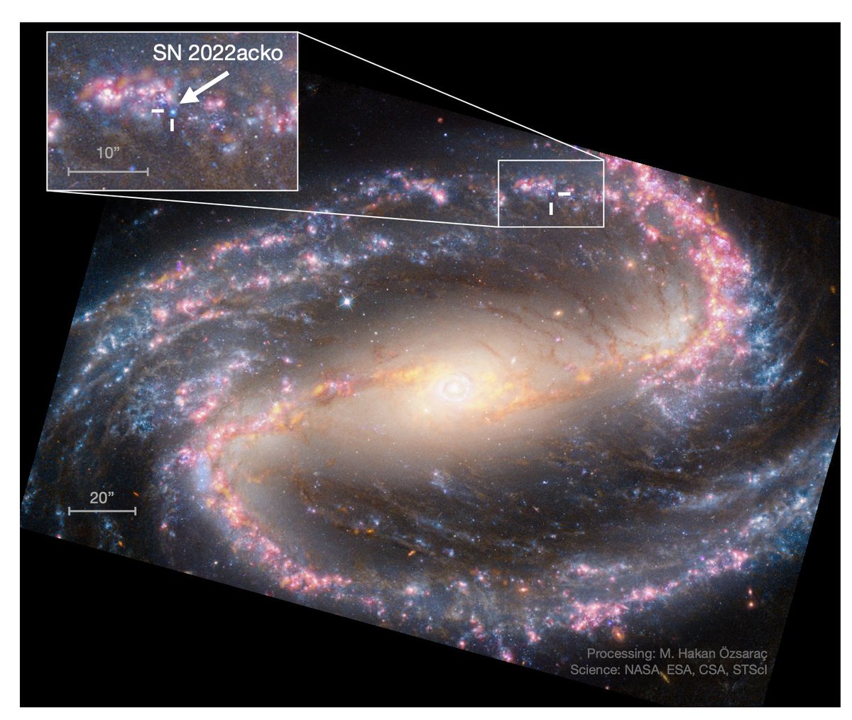 jendrews's tweet photo. So excited to share this paper from our team led by @astro_az on the earliest Far-UV spectra of a Type II supernova to date.  The dataset is AMAZING, and will be incredibly useful for years (decades?) to come for understanding CCSNe! https://t.co/ceGbnqNoLG https://t.co/X9bXpaX9hq