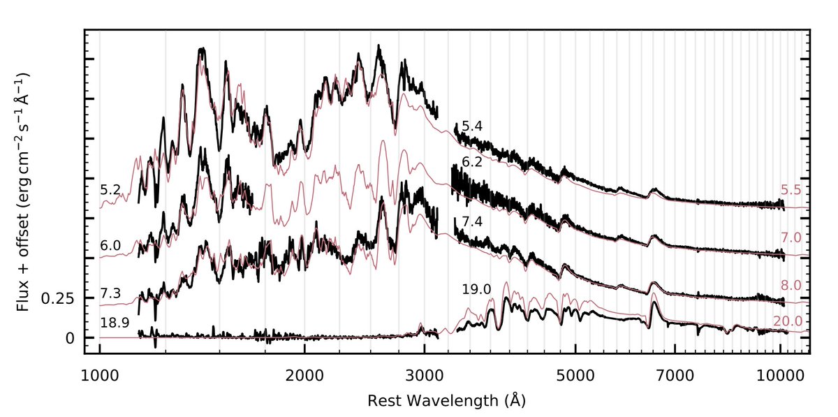 jendrews's tweet photo. So excited to share this paper from our team led by @astro_az on the earliest Far-UV spectra of a Type II supernova to date.  The dataset is AMAZING, and will be incredibly useful for years (decades?) to come for understanding CCSNe! https://t.co/ceGbnqNoLG https://t.co/X9bXpaX9hq