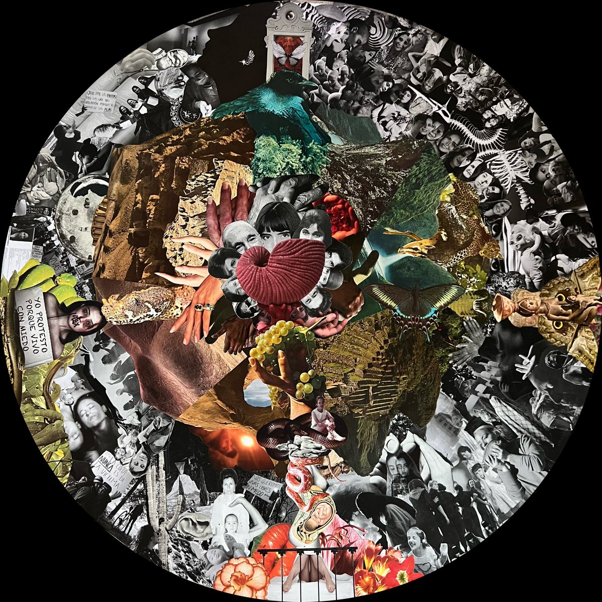 Estoy haciendo un cortometraje documental con collage en stop motion a partir de las imágenes e historias que quieran contarme sobre el ser mujer en México 🖤 

💌 Enviar a: hagocollage@gmail.com