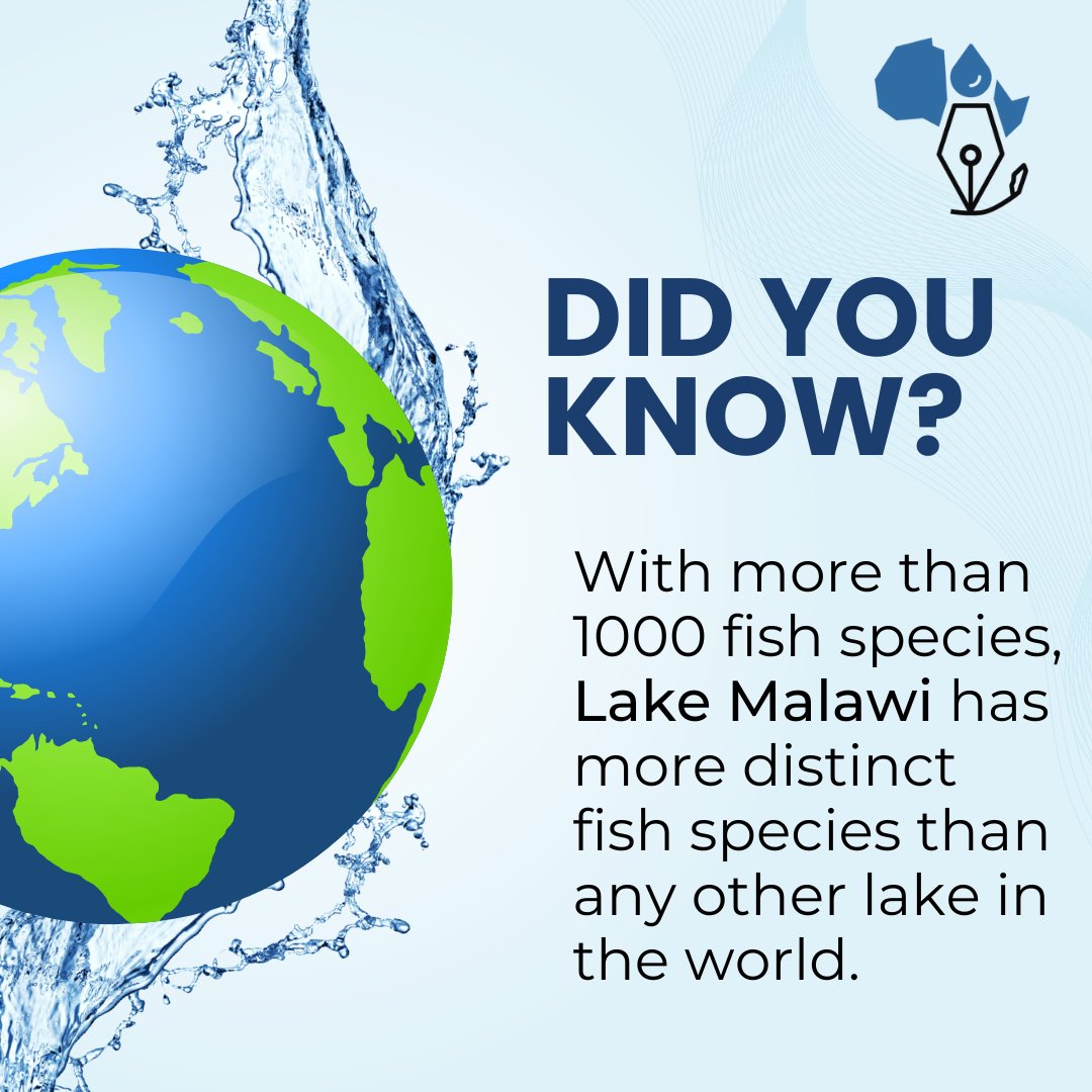 H2Ojournalists's tweet photo. Lake Malawi also known as Lake Nyasa, is an African Great Lake, located between Malawi, Mozambique and Tanzania.
Lake Malawi is the 9th largest lake in the world and the 3rd largest lake in Africa.
#DYK
#KnowWater
#H20ChangesThings https://t.co/rJXQkksvOy